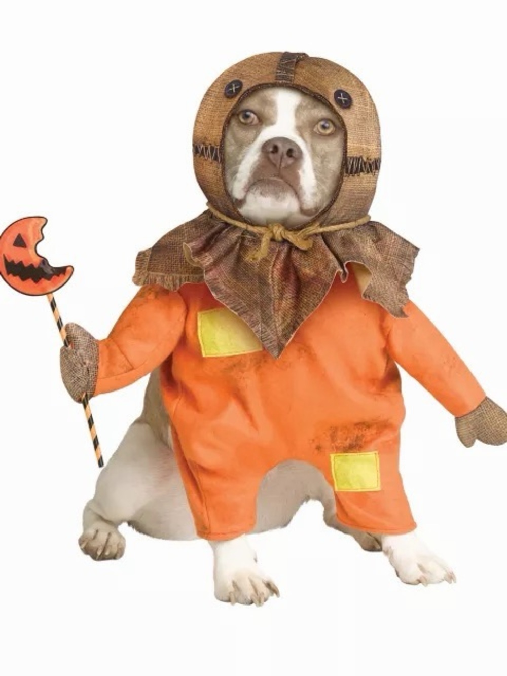 Spirit Halloween Trick ‘r Treat Sam Pet Costume